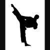 karate generic